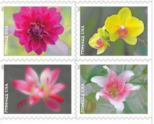 GARDEN BEAUTY BOOK OF 100 FOREVER STAMPS