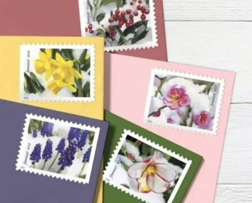 SNOWY-BEAUTY BOOK OF 100 FOREVER STAMPS